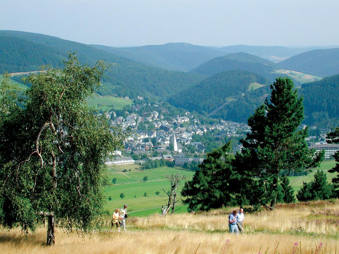 Friends & Family Domizil Willingen Apartman Willingen  Kültér fotó